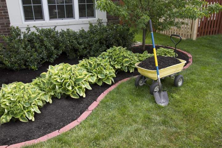 Entretien de jardin Vichy