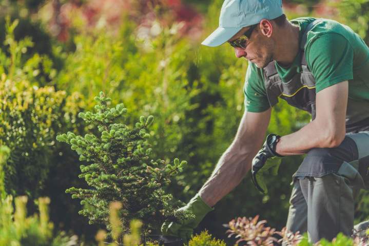 Travaux d'aménagement paysager Vichy